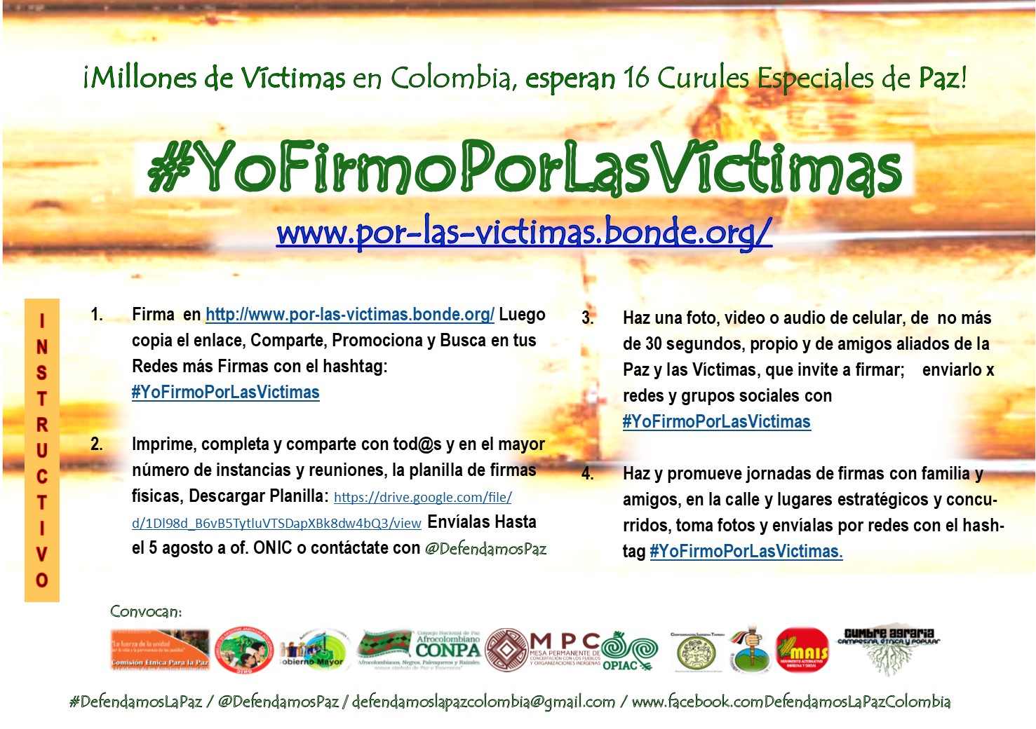 Instrucctivo YoFirmoPorLasVíctimas 24 06 2019